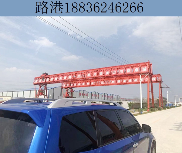花架式龍門(mén)吊